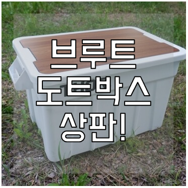 브루트 도트박스