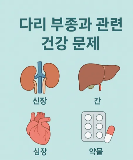 다리 부종 관련 건강 문제