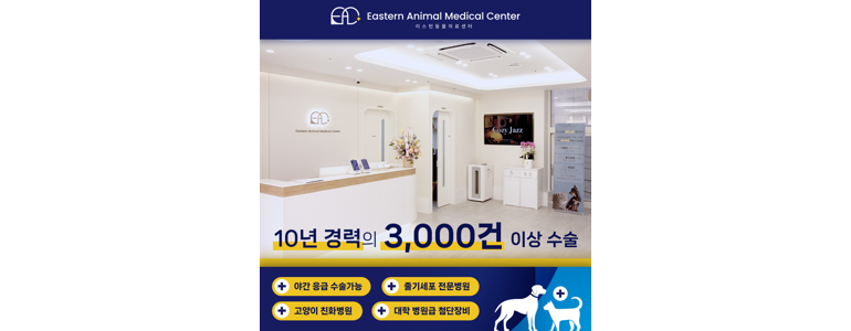 남양주시 동물병원