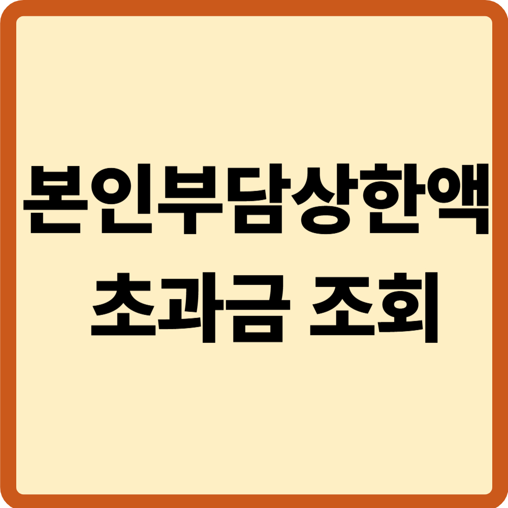 본인부담상한액
