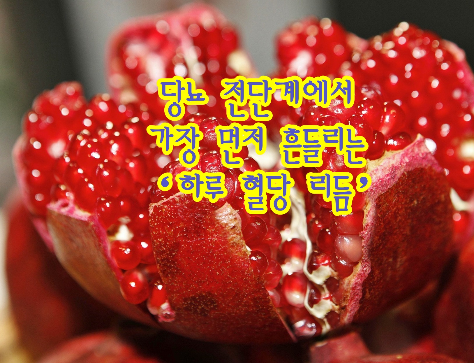 당뇨 전단계에서 가장 먼저 흔들리는 &lsquo;하루 혈당 리듬&rsquo;