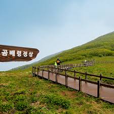 인제 점봉산 곰배령 예약