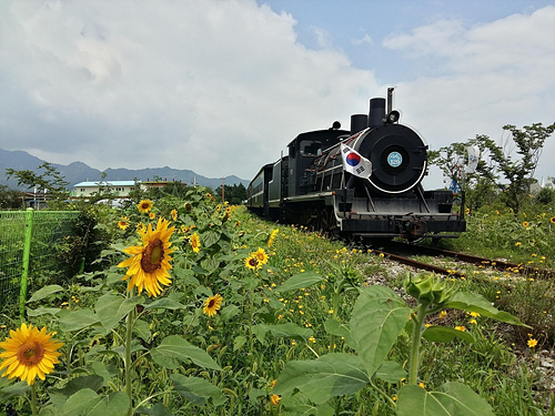 2025 경기도 행신역 추석 연휴 승차권 사전 예매 일정 및 예매 꿀팁