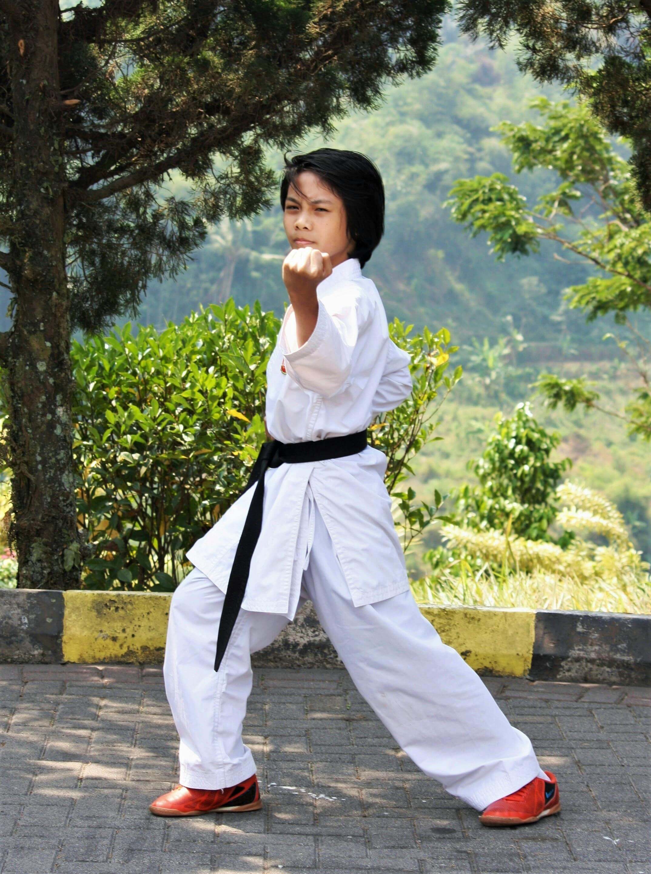 태권도 단증 확인 방법 완벽 정리 단수 조회부터 재발급까지