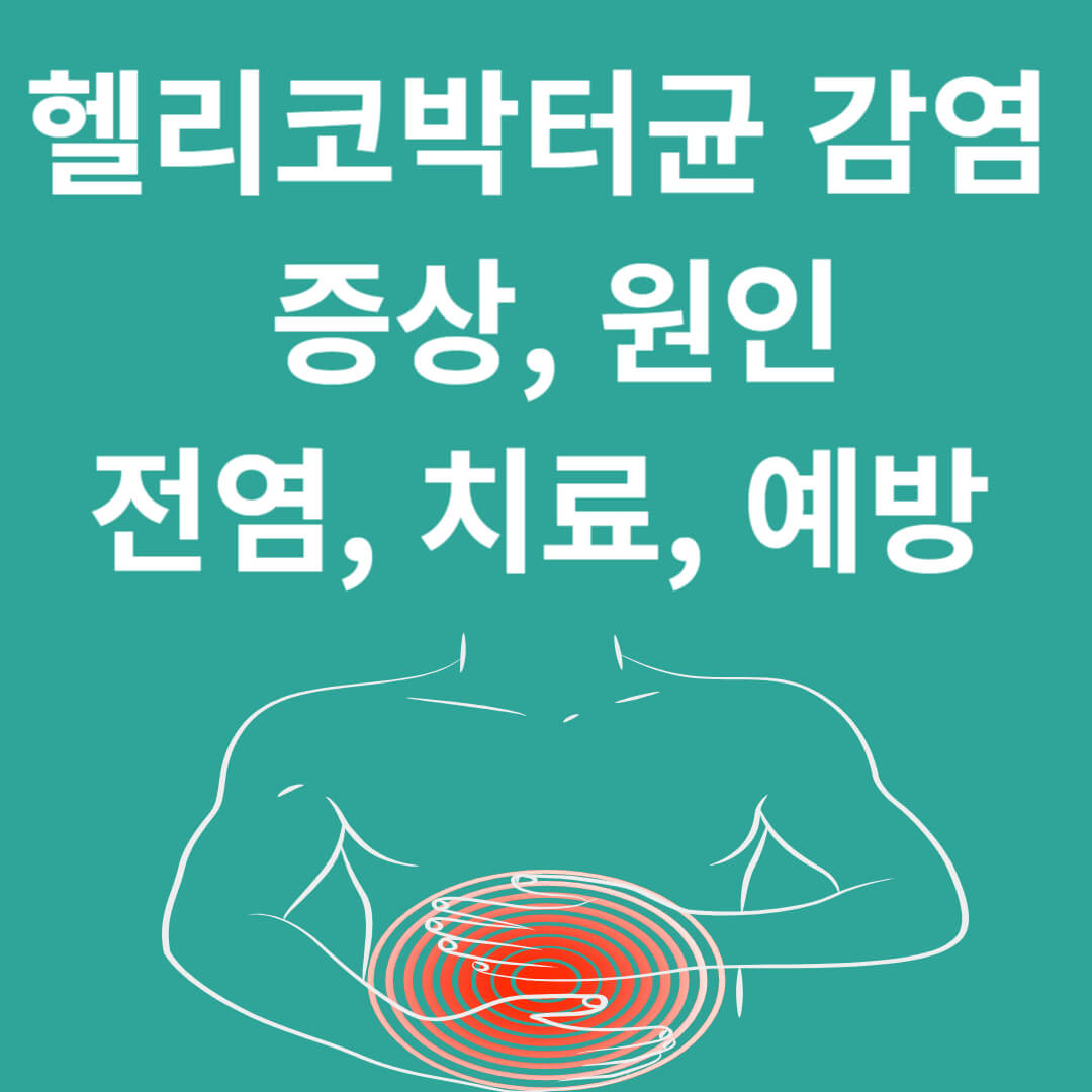 헬리코박터균 감염 증상&#44; 전염과 치료