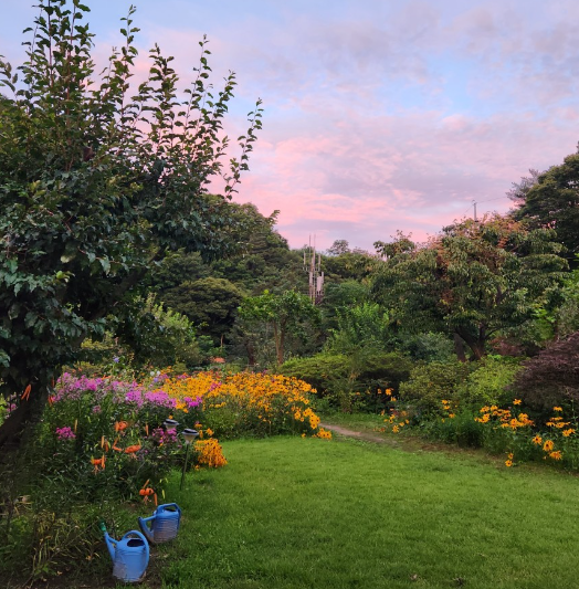 강원도 계곡 펜션1