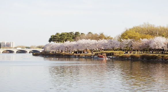 일산 호수공원 사진