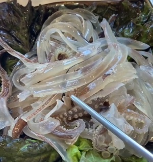 산오징어회
