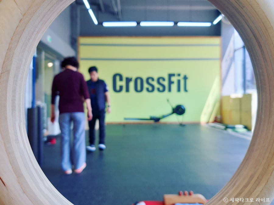 표박사크로스핏