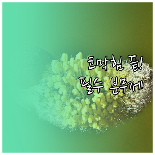 항히스타민제와 스테로이드 분무제 특징..