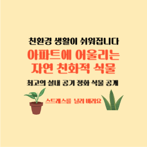 친환경 생활이 쉬워집니다. 아파트 실내 정원을 위한 최고의 자연 친화 식물 실내 공기 정화 식물