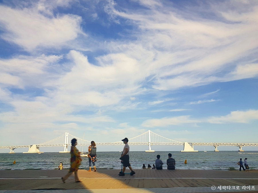 광안리풍경사진