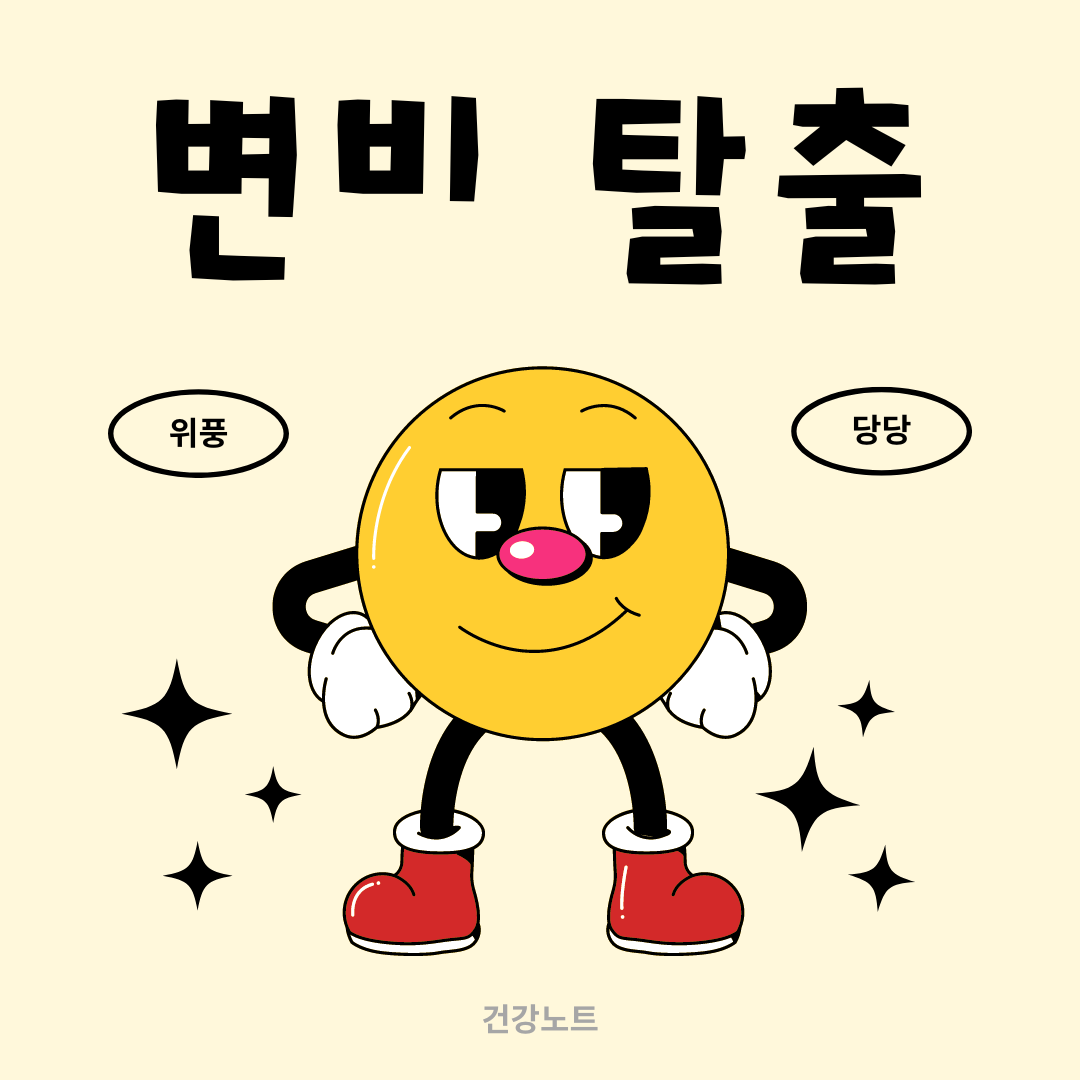 변비 원인 해결법 직빵 증상
