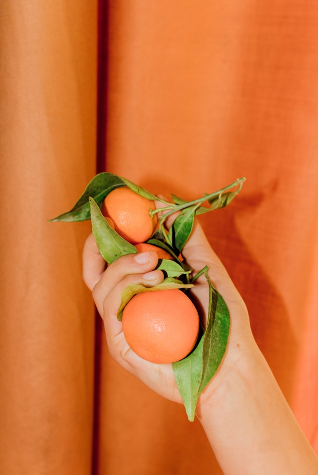 임산부 엽산 폭탄 한라봉 효능 완벽정리