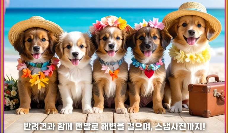 부산바다축제