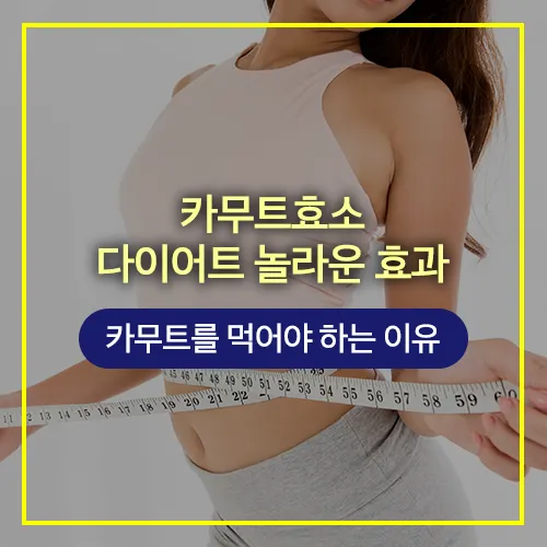 카무트효소 다이어트 놀라운 효과