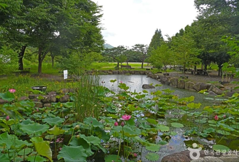 곡성 가볼만한곳 베스트 10