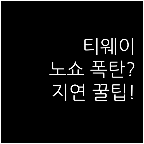 티웨이항공 노쇼 수수료와 공항 지연 ..