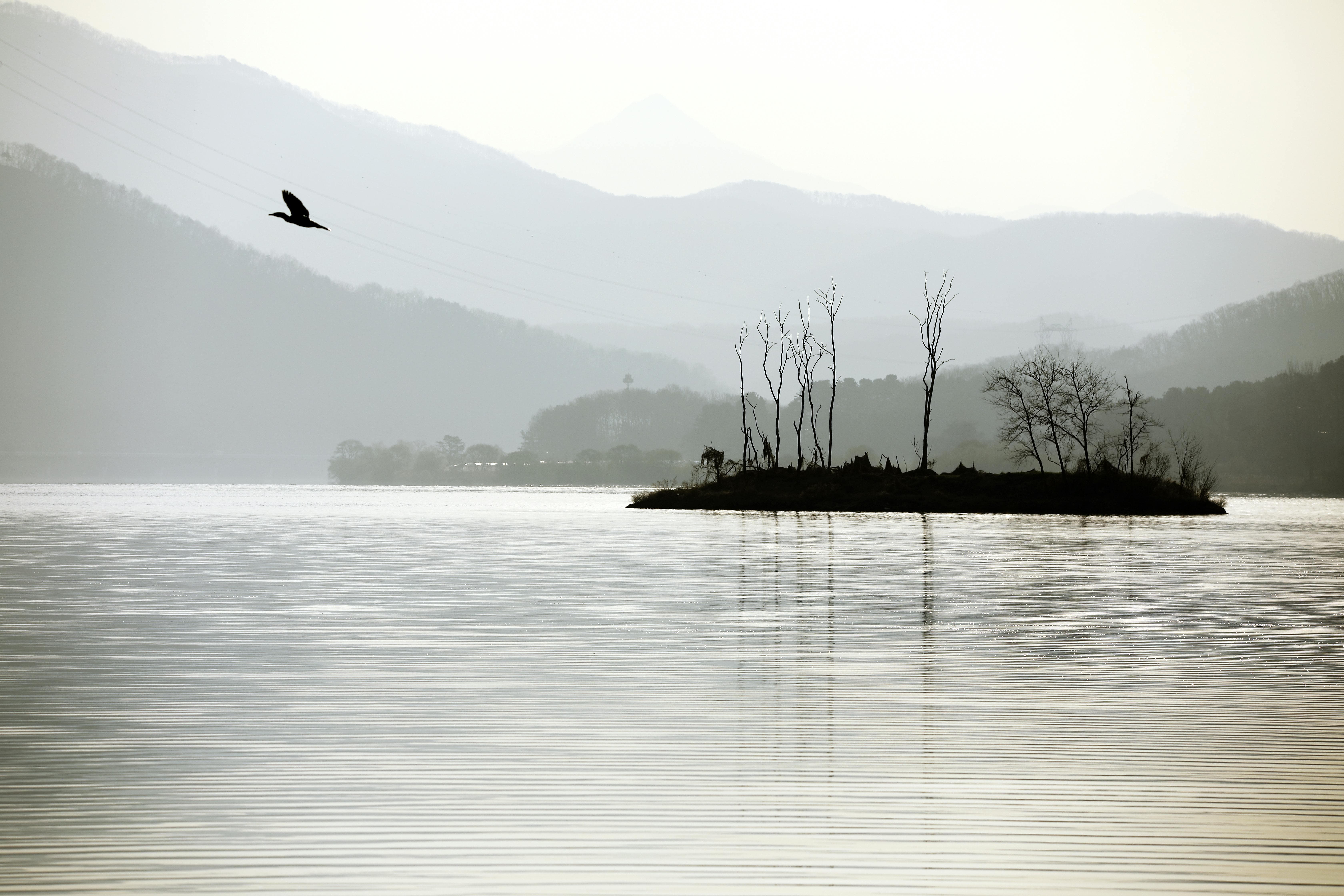 2025 개천절 나들이 추천! 4