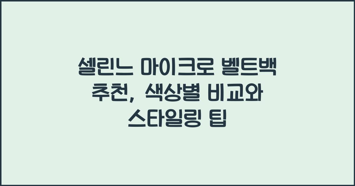 셀린느 마이크로 벨트백 추천