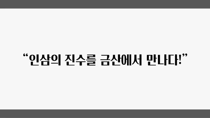 인삼의 고향, 금산에서 만나는 맛과 문화