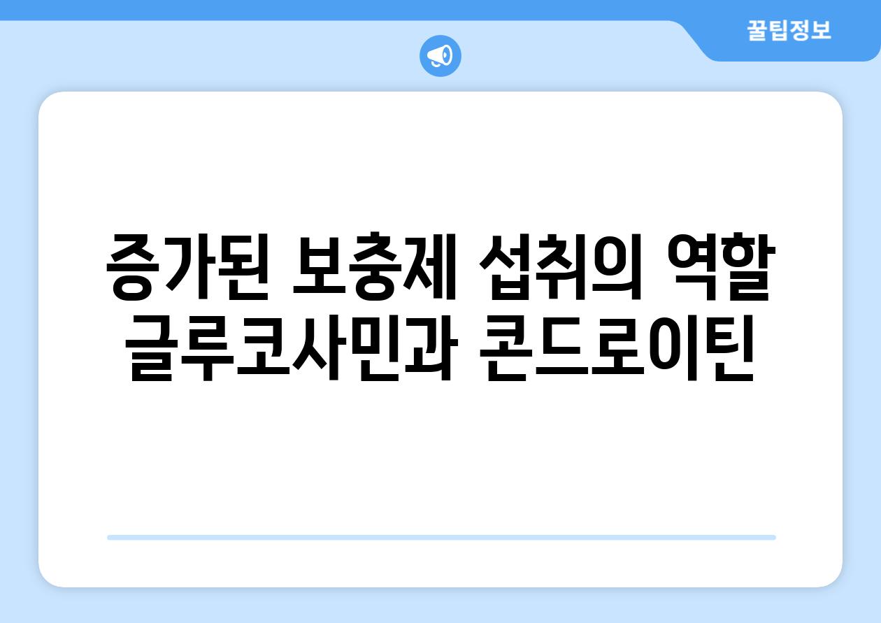 증가된 보충제 섭취의 역할 글루코사민과 콘드로이틴