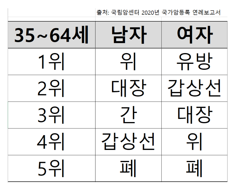 암보험 비갱신형