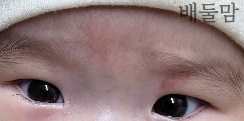 얼굴 연어반 사진1.