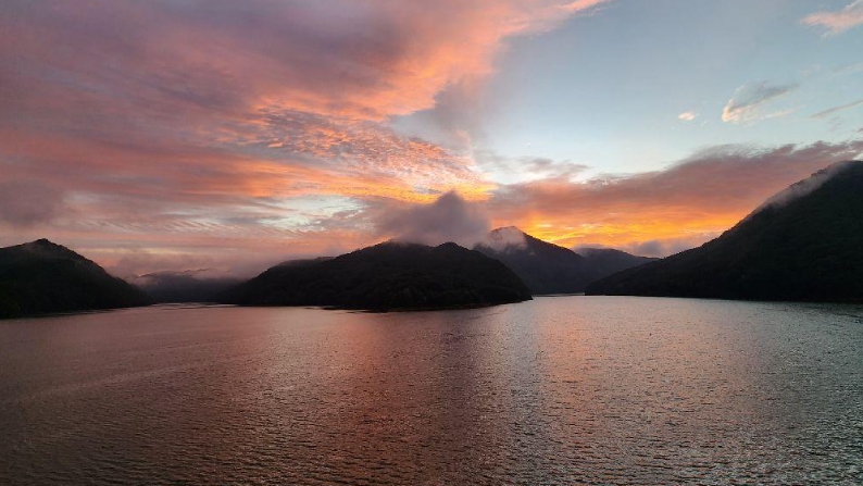 옥천/핫플레이스/대청호/천상의/정원/수생학습식물원