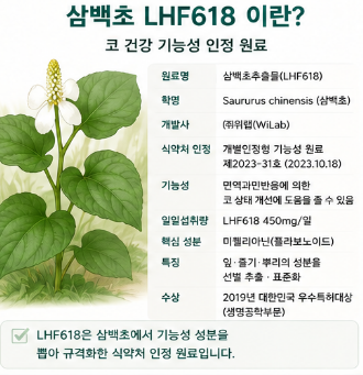 삼백초lhf618-효능-뜻-추출방법-차이-가격-간-효과-고르는방법