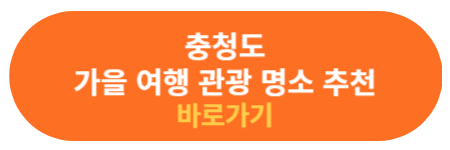 충청도 가을 여행지 확인