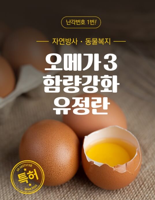 생방송투데이 3784회 환승 직업 두 번째 인생 경주 난각번호 1번 유정란 이삭농장 주문방법