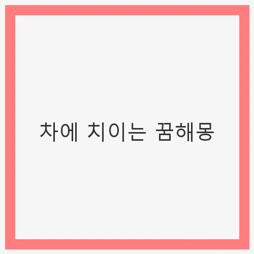 차에 치이는 꿈해몽