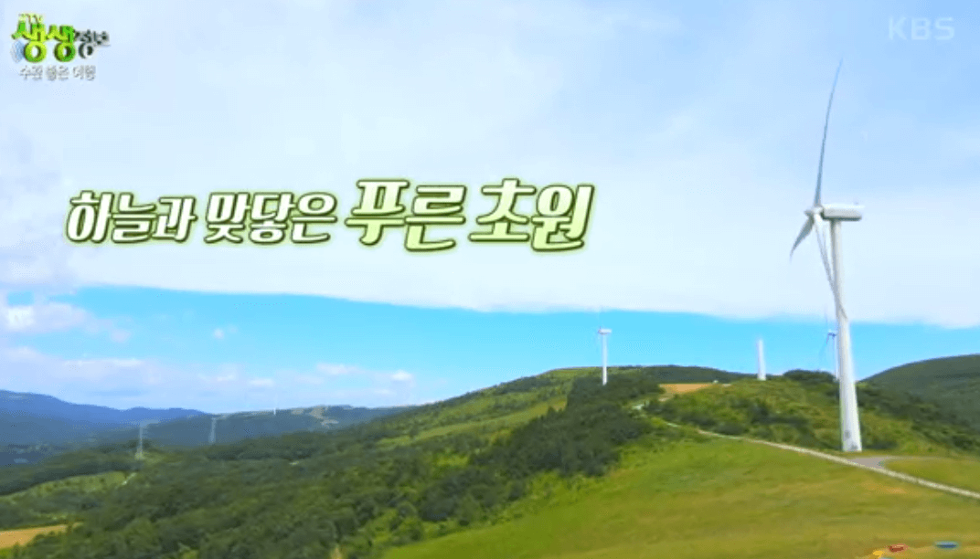 평창 가볼만한 곳 대관령 하늘목장