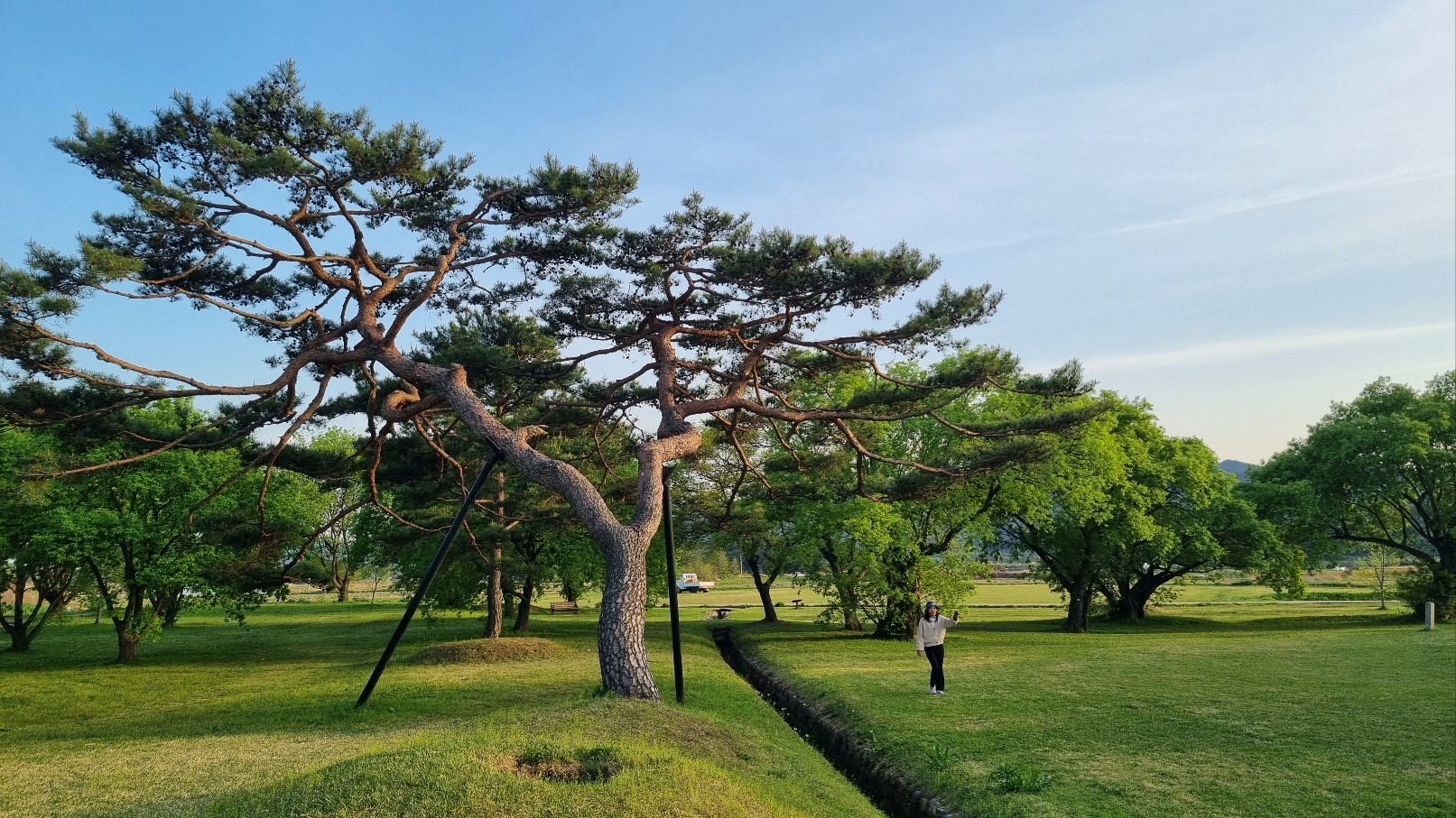 진평왕릉7