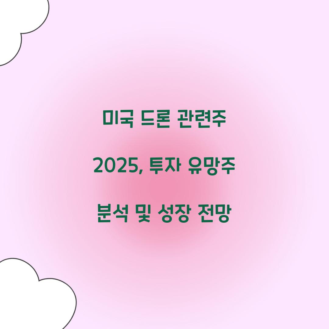 미국 드론 관련주 2025