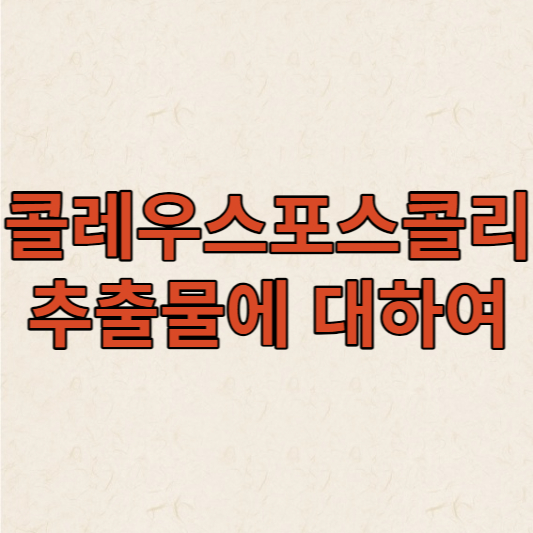 콜레우스포스콜리추출물