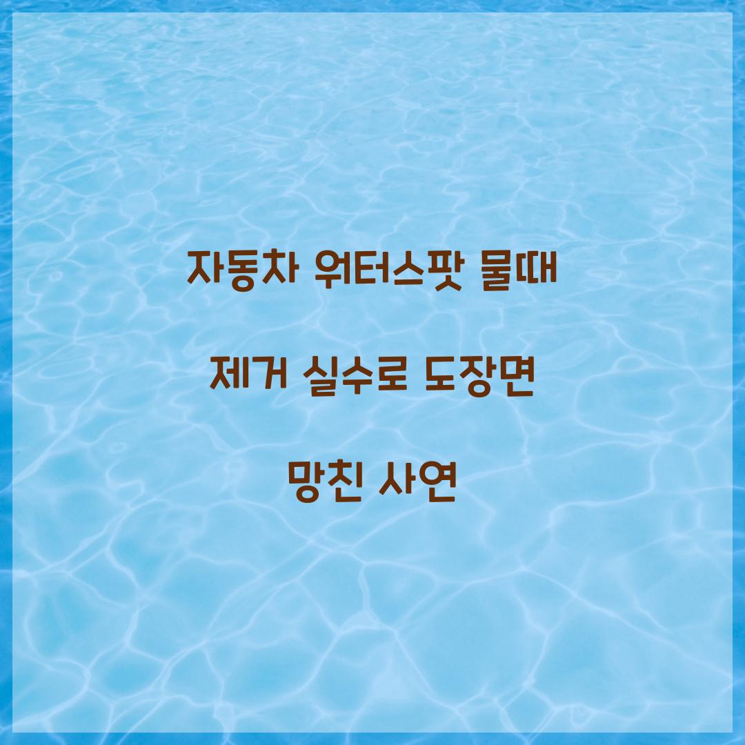 자동차 워터스팟 물때 제거 실수로 도장면 망친 사연