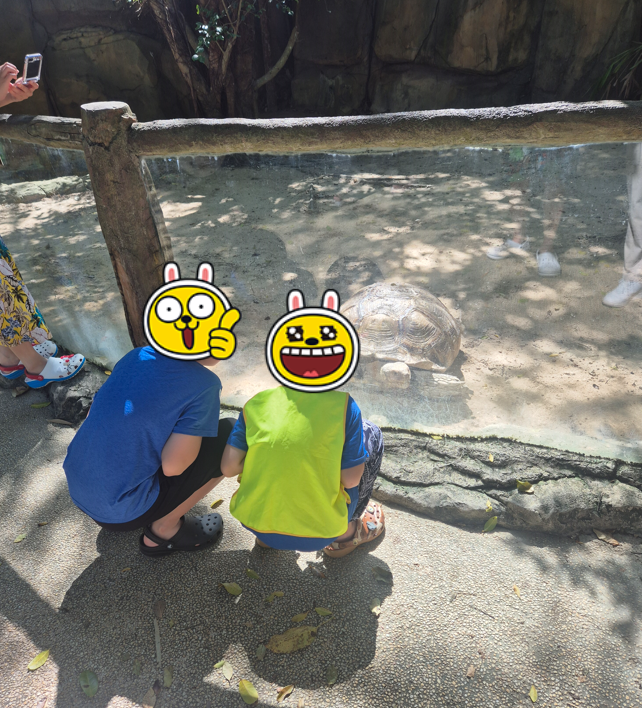 빈펄 사파리 사진