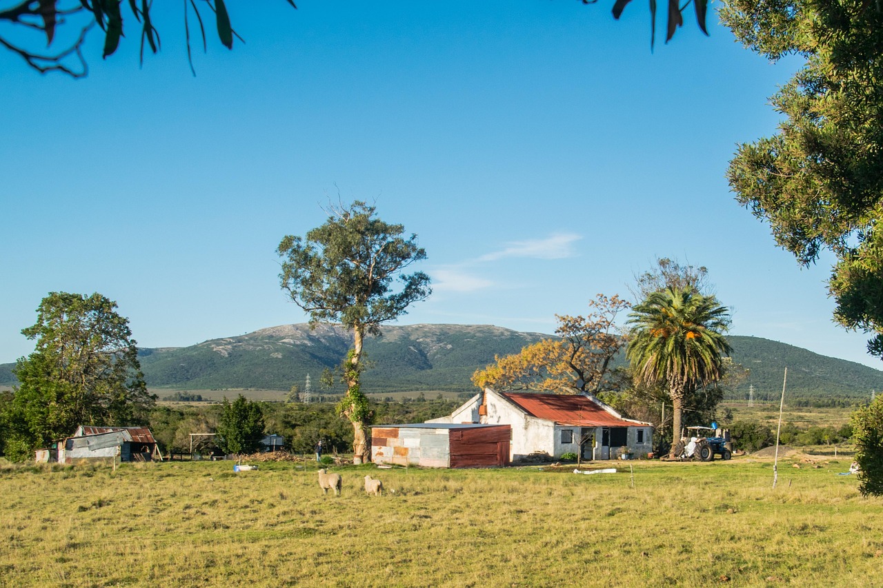 우루과이 관련 사진