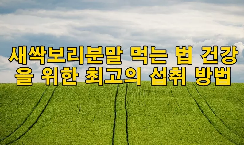 새싹보리분말 먹는 법 건강을 위한 최고의 섭취 방법