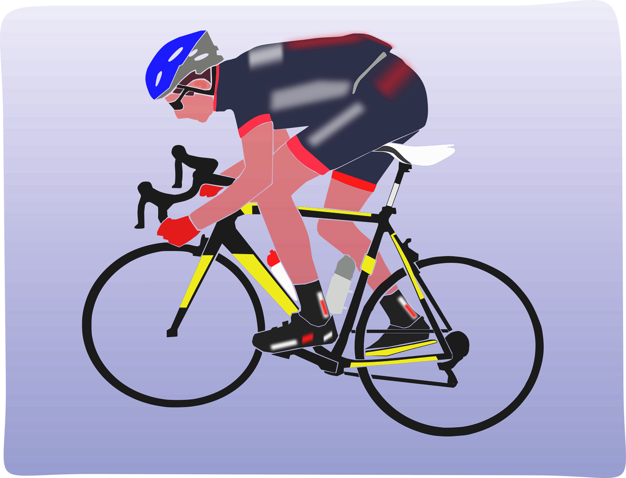 미국의 자전거 산업과 레저 문화의 발전