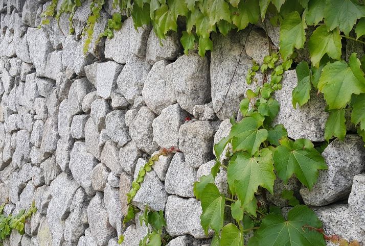 지갑 찾는 꿈 잃어버린 물건을 찾아 헤매는 꿈 의미