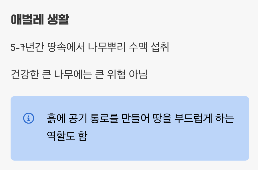 땅속의 오랜 이웃, 애벌레