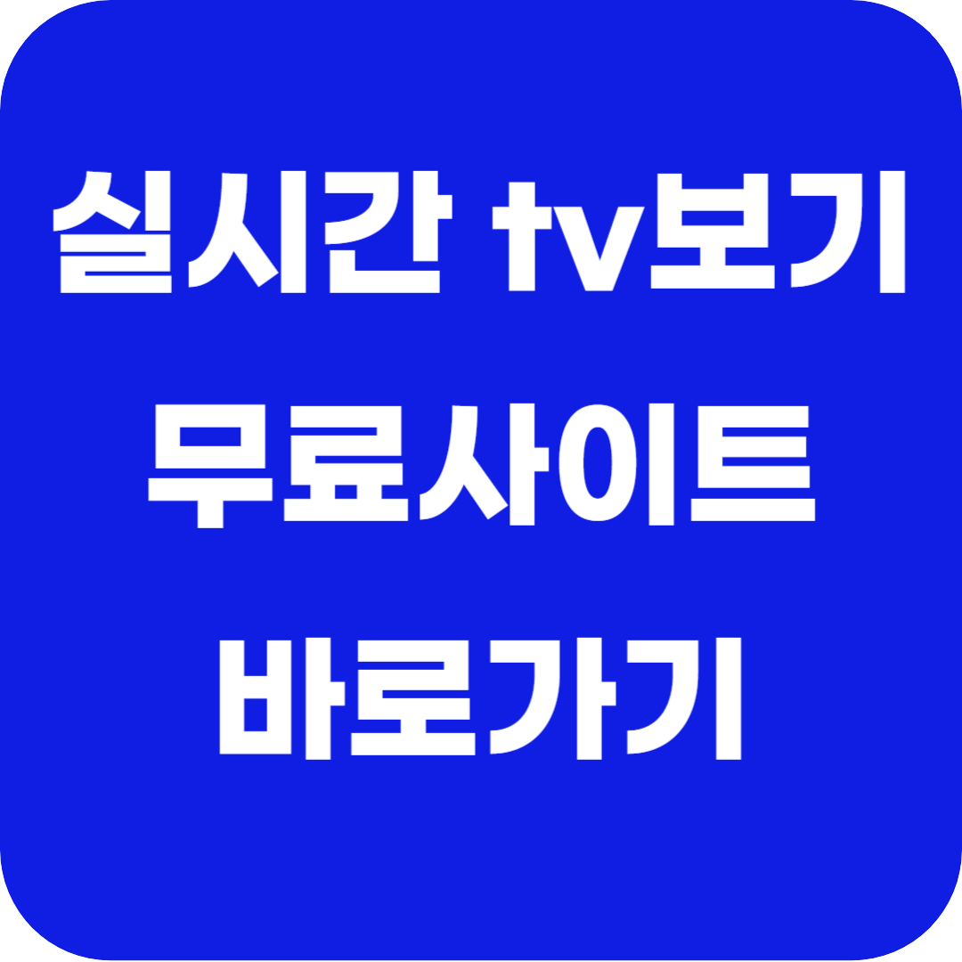 실시간 tv보기 무료 사이트 바로가기