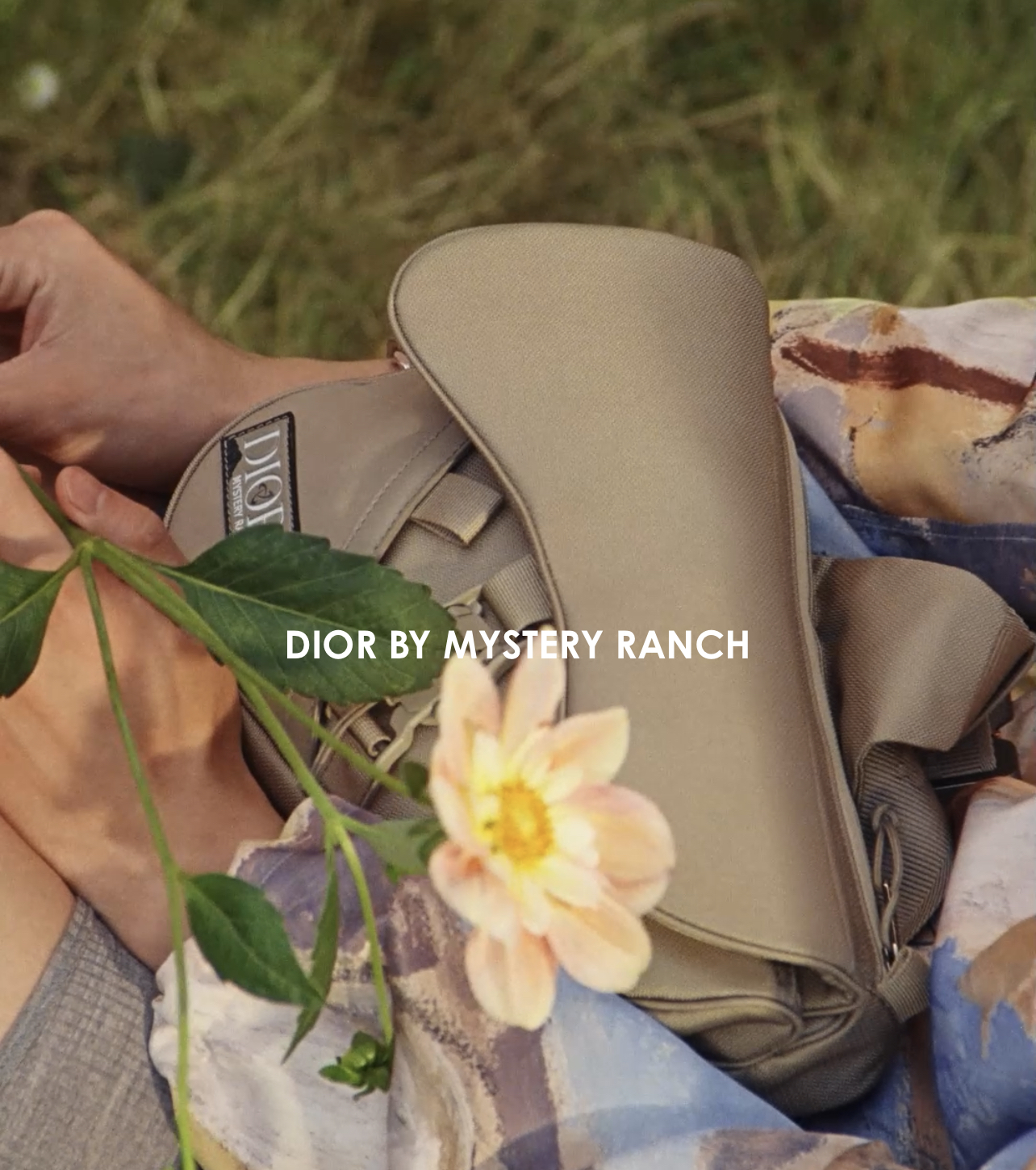 크리스찬디올X미스테리렌치