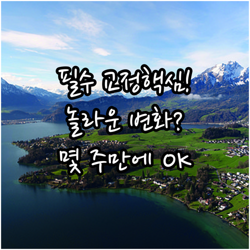 초보자를 위한 필라테스 효과 기간: ..