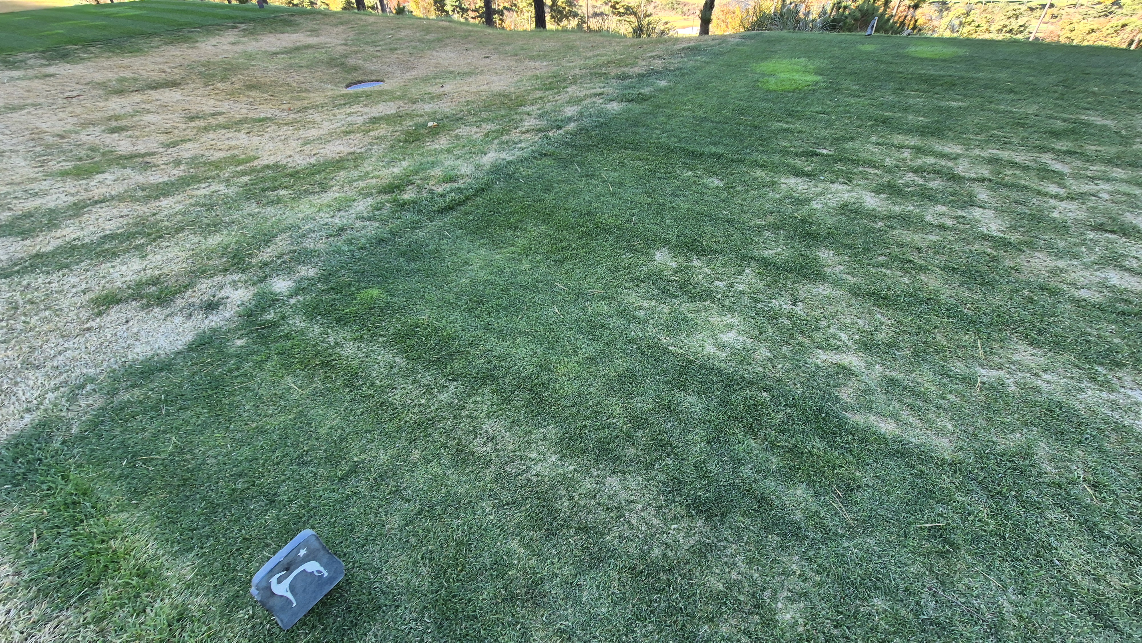 레이캐슬cc 티잉구역 상태