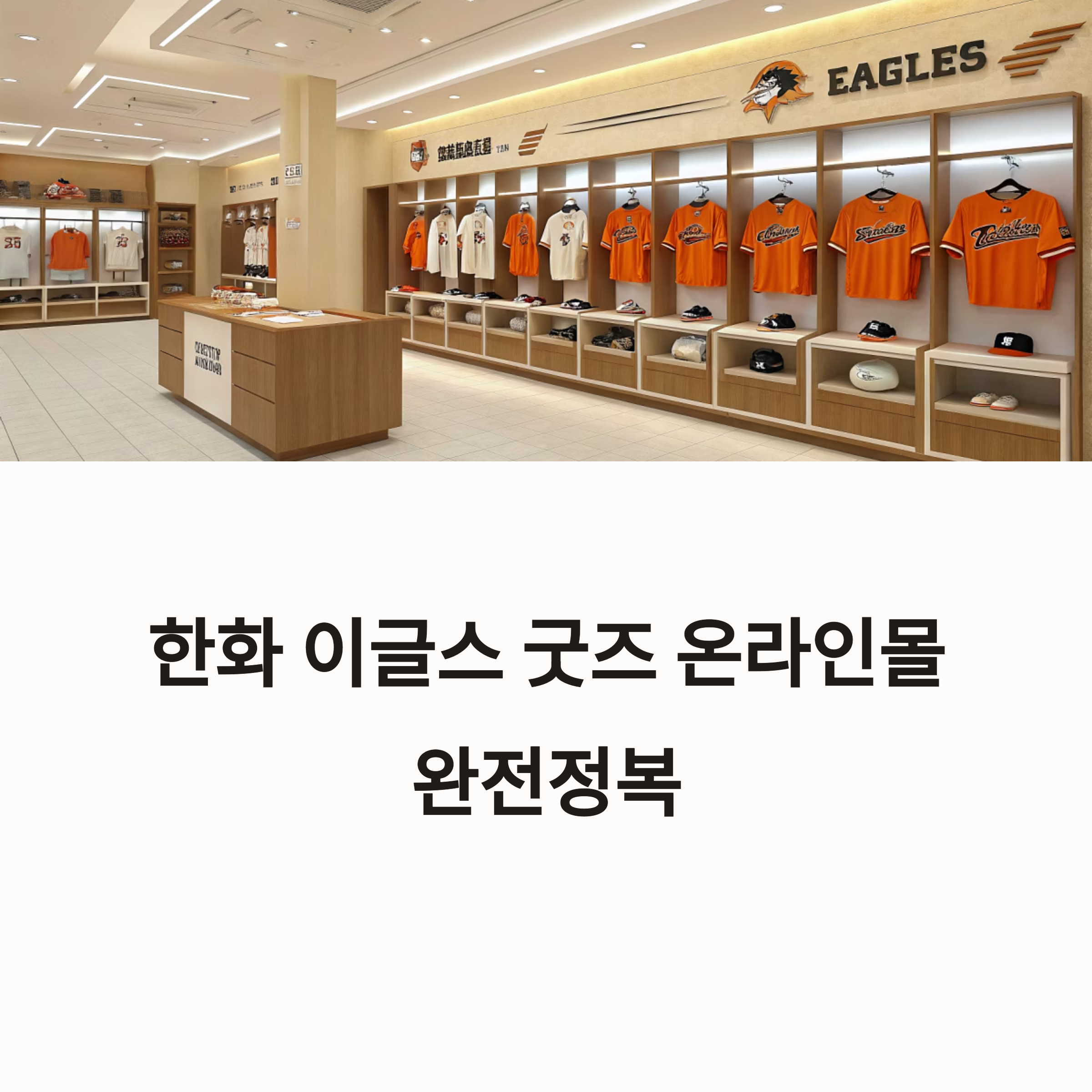 한화 이글스 굿즈