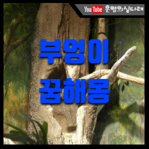 썸네일 사진